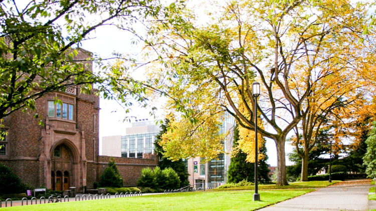 A walkway and buildings on a typical college campus